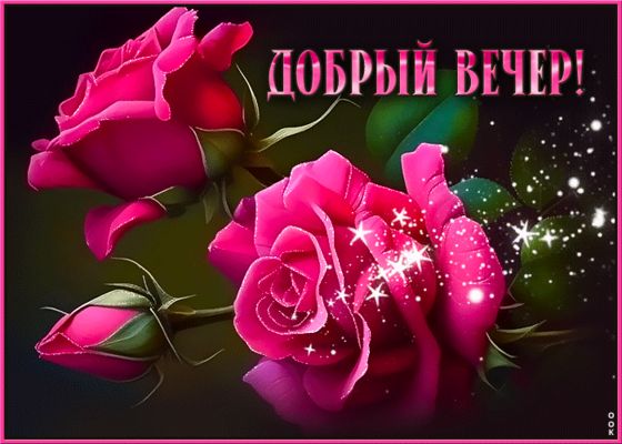 Открытка «Добрый вечер и пожелания»: Добрый вечер: Красивые розовые розы с блестками. Тэги: Добрый вечер красивые…