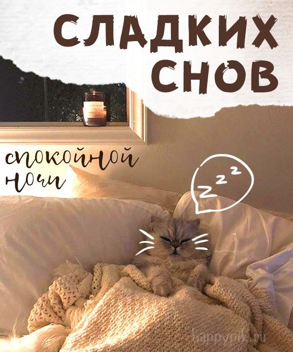Открытка «Доброй ночи»: Спокойной ночи: Сладких снов с милым котом. Тэги: Спокойной ночи, Спокойной ночи, с пожелания…