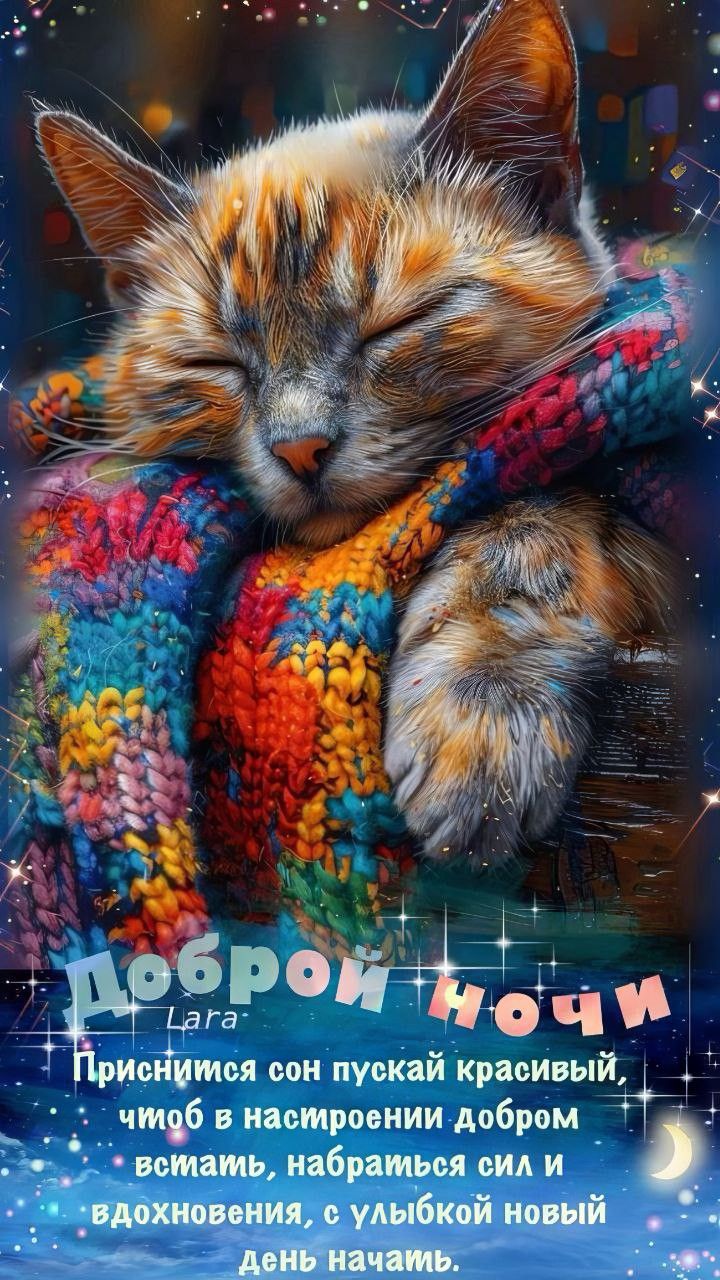 Открытка «Доброй ночи»: Спокойной ночи: милый кот в шарфе и доброе пожелание. Тэги: Спокойной ночи, Спокойной ночи…
