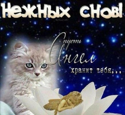 Открытка «Доброй ночи»: Доброй ночи: «Нежных снов» с котенком и ангелом. Тэги: Спокойной ночи, Спокойной ночи, с поже…