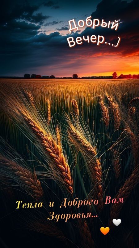 Открытка «Добрый вечер и пожелания»: Добрый вечер: душевное пожелание здоровья и тепла. Тэги: Добрый позитивный вечер…