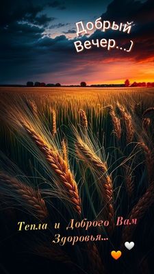 Открытка «Добрый вечер и пожелания»: Добрый вечер: душевное пожелание здоровья и тепла. Тэги: Добрый позитивный вечер…