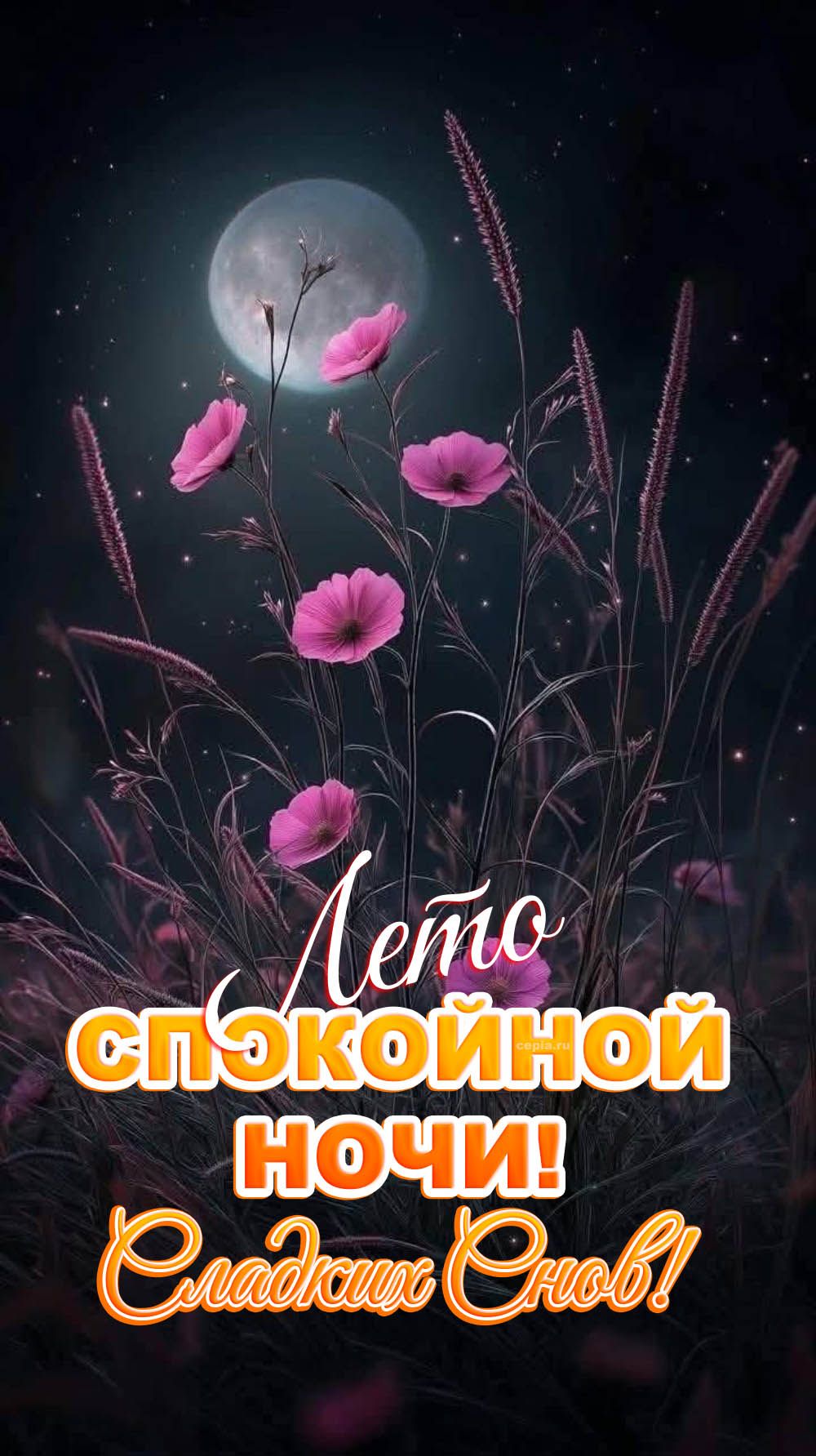 Открытка «Доброй ночи»: Спокойной ночи: лето, цветы и лунный свет. Тэги: Спокойной ночи, Спокойной ночи, красивые…