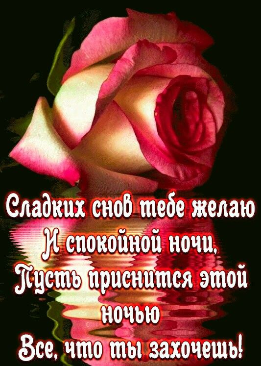 Открытка «Доброй ночи»: Спокойной ночи: Нежная роза для сладких снов. Тэги: Спокойной ночи, Спокойной ночи, красивые…