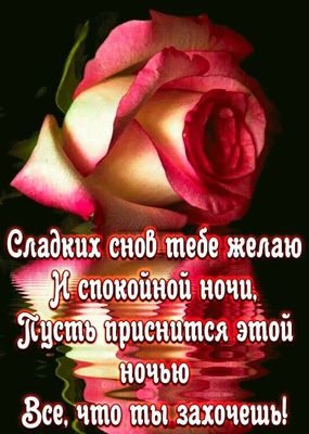 Открытка «Доброй ночи»: Спокойной ночи: Нежная роза для сладких снов. Тэги: Спокойной ночи, Спокойной ночи, красивые…