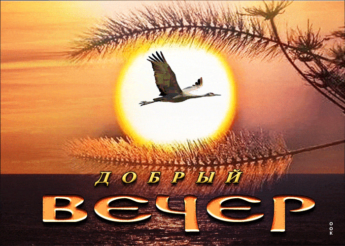 Открытка «Добрый вечер и пожелания»: Добрый вечер: «Полет аиста на закате». Тэги: Добрый вечер красивые, Добыий вечер…