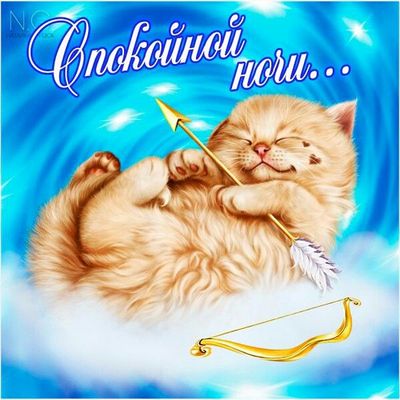 Открытка «Доброй ночи»: Спокойной ночи: милый котенок-купидон на облаке. Тэги: Спокойной ночи, стрела, Спокойной ночи…