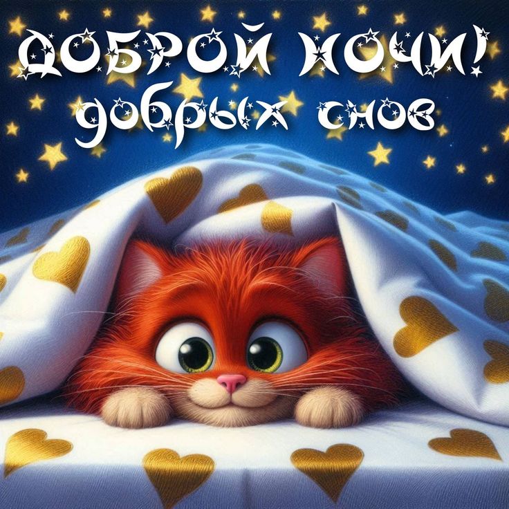 Открытка «Доброй ночи»: Доброй ночи: Милый рыжий кот под одеялом со звездами. Тэги: Спокойной ночи, Спокойной ночи…