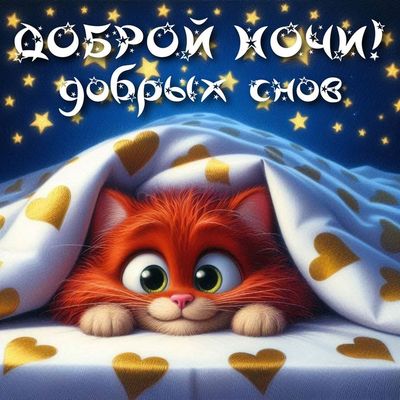 Открытка «Доброй ночи»: Доброй ночи: Милый рыжий кот под одеялом со звездами. Тэги: Спокойной ночи, Спокойной ночи…