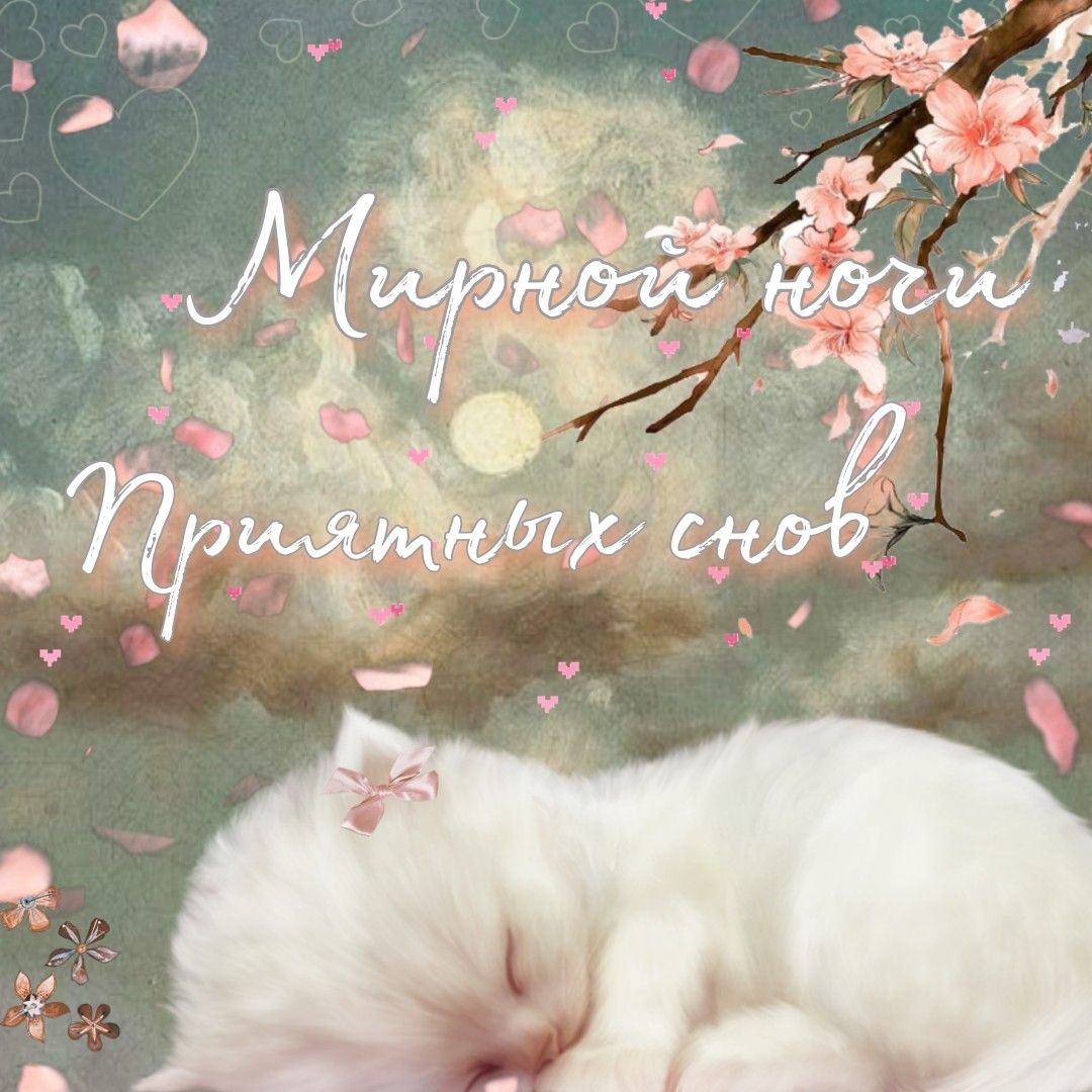 Открытка «Доброй ночи»: Доброй ночи: Мирной ночи и приятных снов.
