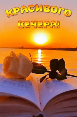 Открытка «Добрый вечер и пожелания»: Добрый вечер: «Закат, книга и роза» у воды. Тэги: Добрый вечер красивые, Добыий…