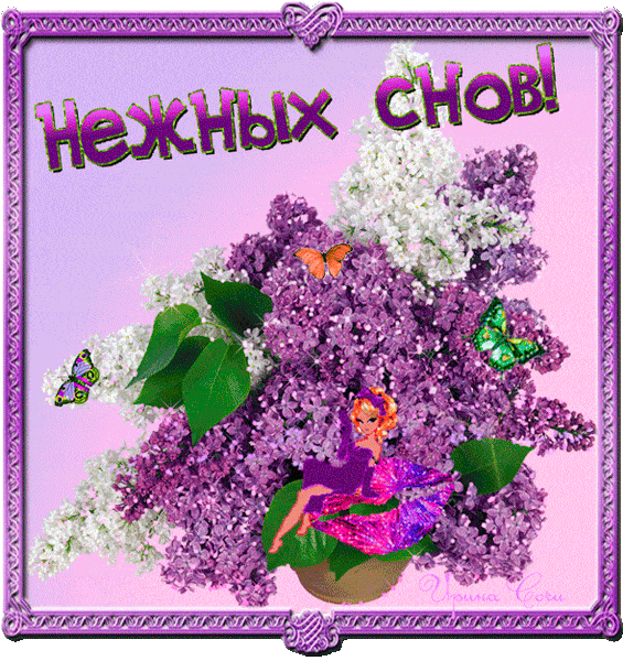 Открытка «Доброй ночи»: Спокойной ночи: Нежных снов и букет сирени.