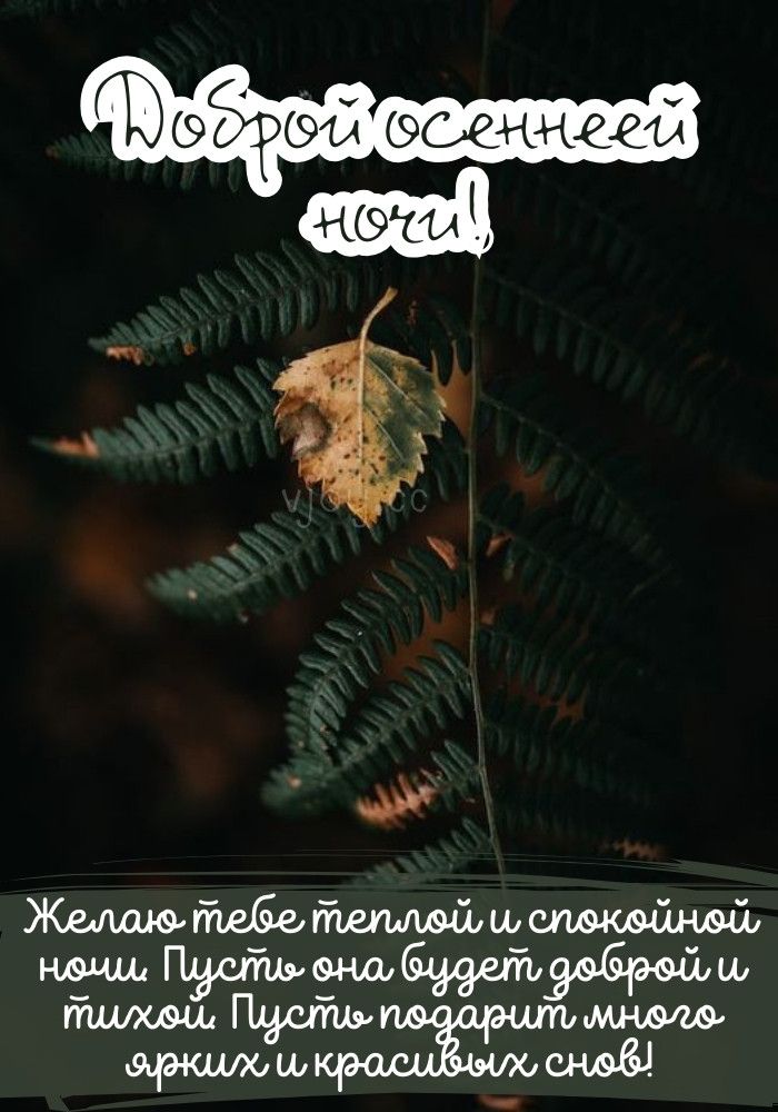 Открытка «Доброй ночи»: Доброй осенней ночи — уютная открытка с пожеланием. Тэги: Спокойной ночи, Спокойной ночи…