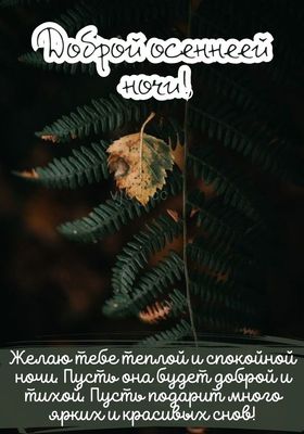 Открытка «Доброй ночи»: Доброй осенней ночи — уютная открытка с пожеланием. Тэги: Спокойной ночи, Спокойной ночи…