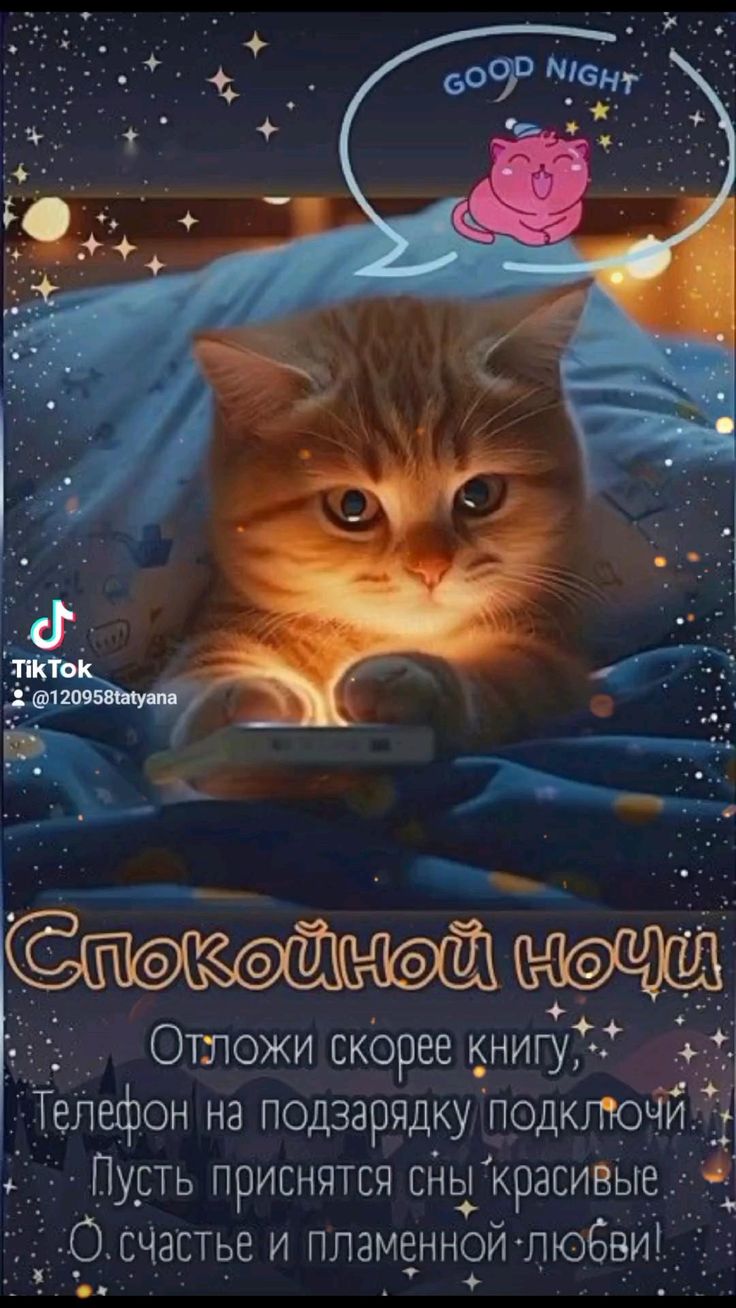 Открытка «Доброй ночи»: Спокойной ночи: милый рыжий кот под одеялом. Тэги: Спокойной ночи, Спокойной ночи, с пожелани…