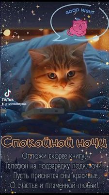 Открытка «Доброй ночи»: Спокойной ночи: милый рыжий кот под одеялом. Тэги: Спокойной ночи, Спокойной ночи, с пожелани…