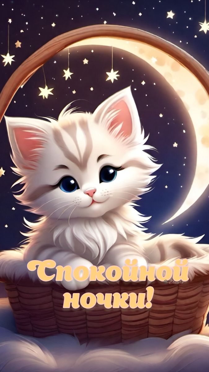 Открытка «Доброй ночи»: Спокойной ночи: милый котенок и звездное небо. Тэги: Спокойной ночи, Спокойной ночи, красивые…