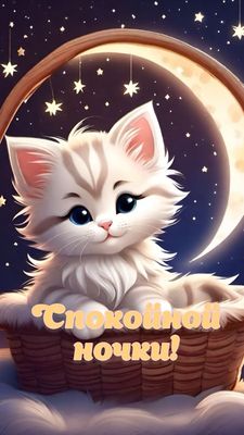 Открытка «Доброй ночи»: Спокойной ночи: милый котенок и звездное небо. Тэги: Спокойной ночи, Спокойной ночи, красивые…