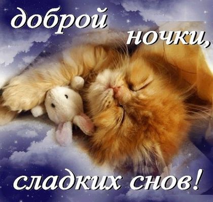Открытка «Доброй ночи»: Доброй ночи: рыжий кот и сладкие сны. Тэги: Спокойной ночи, Спокойной ночи, с пожеланиями…