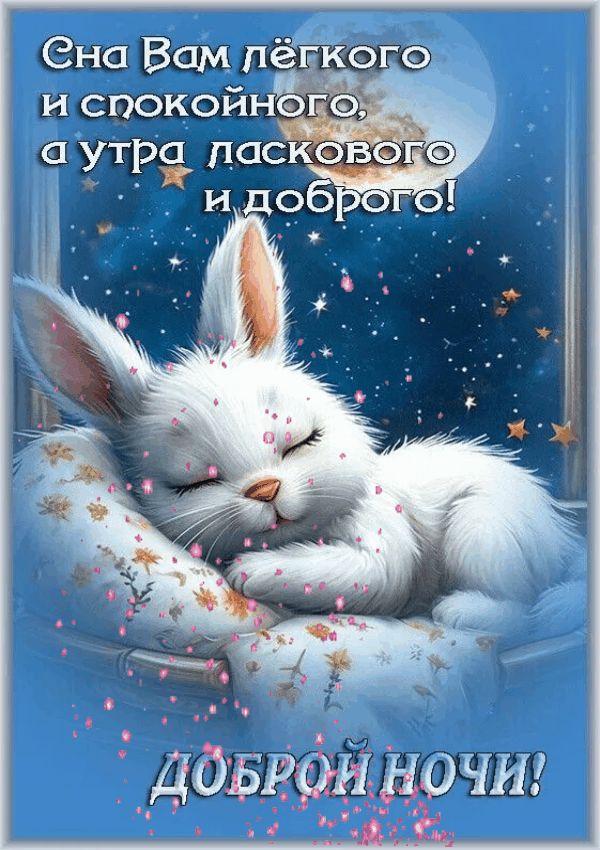 Открытка «Доброй ночи»: Доброй ночи: «Милый зайка на подушке». Тэги: Спокойной ночи, Спокойной ночи, с пожеланиями…