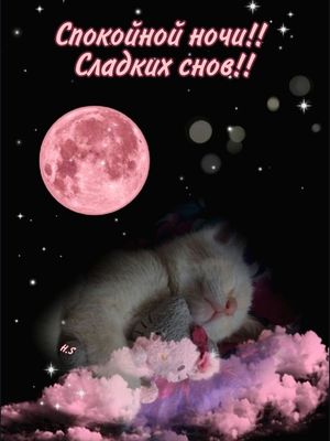 Открытка «Доброй ночи»: Спокойной ночи! Сладких снов и розовой луны. Тэги: Спокойной ночи, Спокойной ночи, с пожелани…