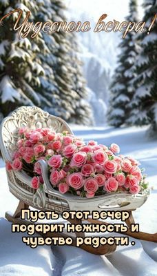 Открытка «Добрый вечер и пожелания»: Добрый вечер: «Розы на снегу» для настроения. Тэги: Добрый зимний вечер, Доброго…