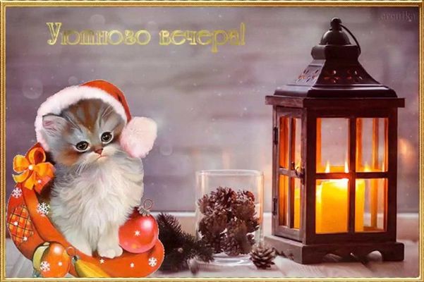 Открытка «Добрый вечер и пожелания»: Добрый вечер: милый котенок в шапке Санты. Тэги: Добрый зимний вечер, Доброго ве…