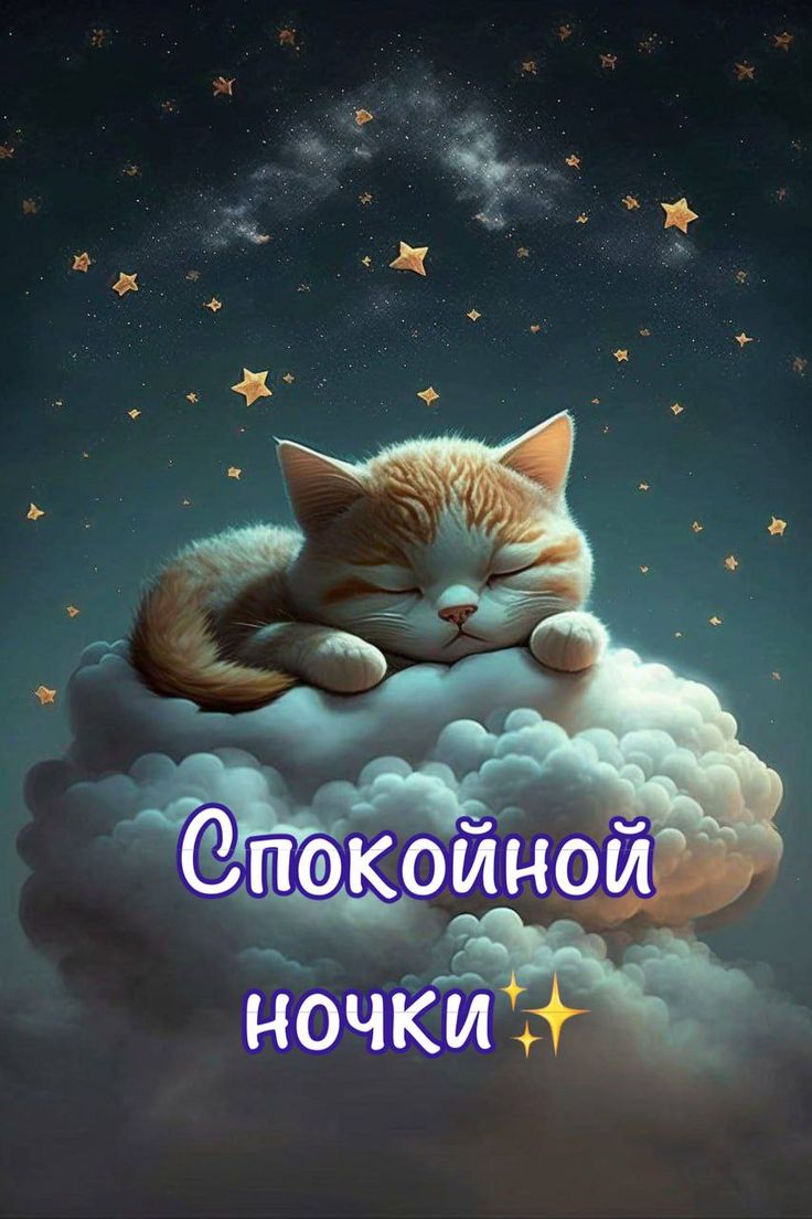 Открытка «Доброй ночи»: Доброй ночи: милый котенок спит на облаке. Тэги: Спокойной ночи, Спокойной ночи, с пожеланиями…