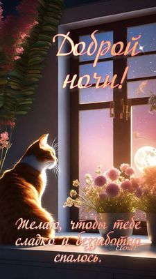 Открытка «Доброй ночи»: Спокойной и доброй ночи: рыжий кот у окна. Тэги: Спокойной ночи, Спокойной ночи, красивые…