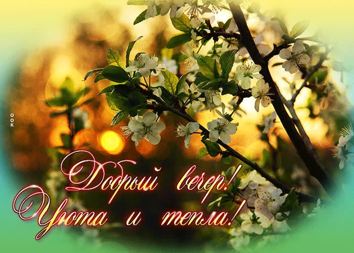 Открытка «Добрый вечер и пожелания»: Добрый вечер! Желаю уюта и тепла. Тэги: Доброго вечера и хорошего настроения…