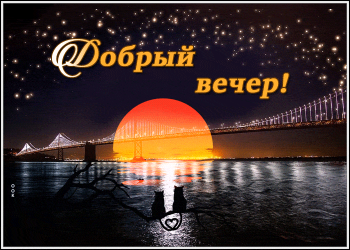Открытка «Добрый вечер и пожелания»: Добрый вечер: влюбленные коты на фоне моста. Тэги: Добрый вечер красивые, Добрый…