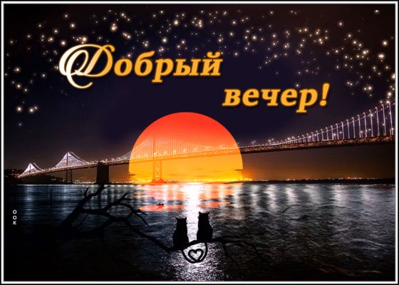 Открытка «Добрый вечер и пожелания»: Добрый вечер: влюбленные коты на фоне моста. Тэги: Добрый вечер красивые, Добрый…