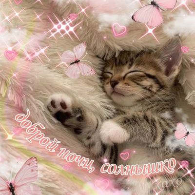 Открытка «Доброй ночи»: Доброй ночи, солнышко: милая открытка с котенком. Тэги: Спокойной ночи, анимационный, Спокойн…