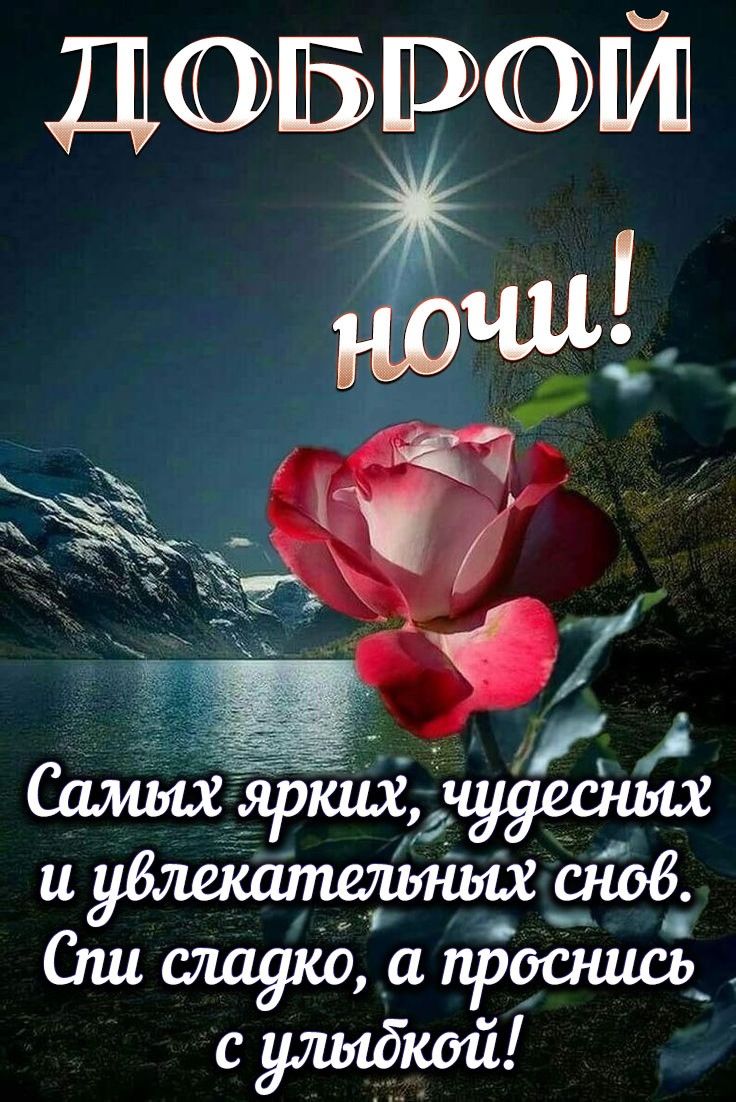 Открытка «Доброй ночи»: Спокойной ночи: красивая роза и пожелание чудесных снов. Тэги: Спокойной ночи, Спокойной ночи…