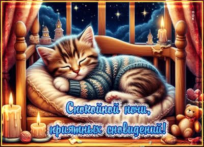 Открытка «Доброй ночи»: Спокойной ночи: милый котик в свитере и свечи. Тэги: Спокойной ночи, Спокойной ночи, с пожела…