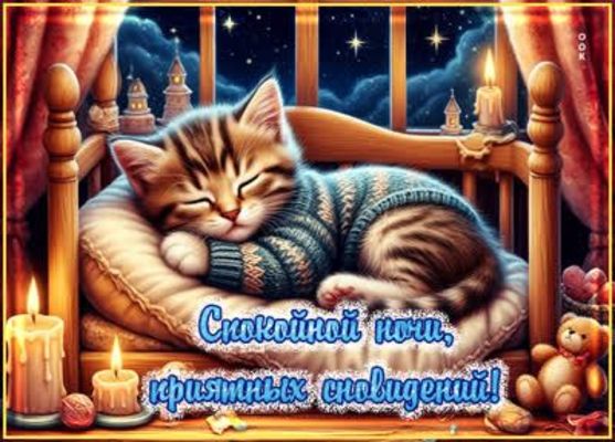 Открытка «Доброй ночи»: Спокойной ночи: милый котик в свитере и свечи. Тэги: Спокойной ночи, Спокойной ночи, с пожела…