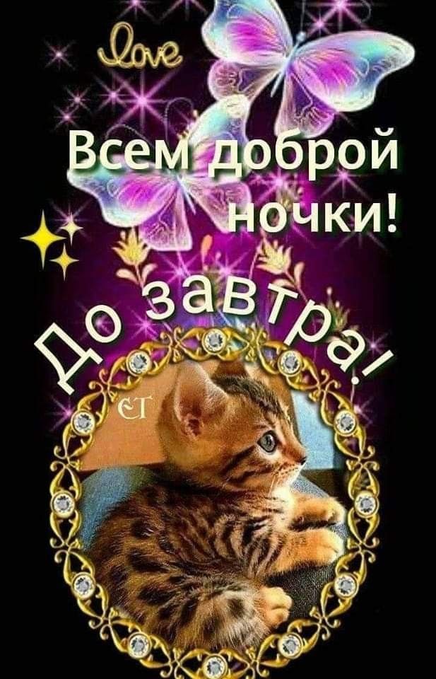 Открытка «Доброй ночи»: Спокойной ночи: милый котенок и волшебные бабочки.