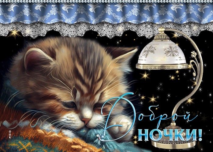 Открытка «Доброй ночи»: Доброй ночи: Милый котенок под лампой.