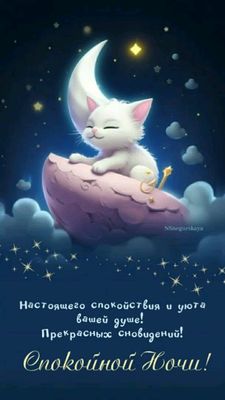 Открытка «Доброй ночи»: Спокойной ночи: «Белый котик на полумесяце». Тэги: Спокойной ночи, Спокойной ночи, красивые…