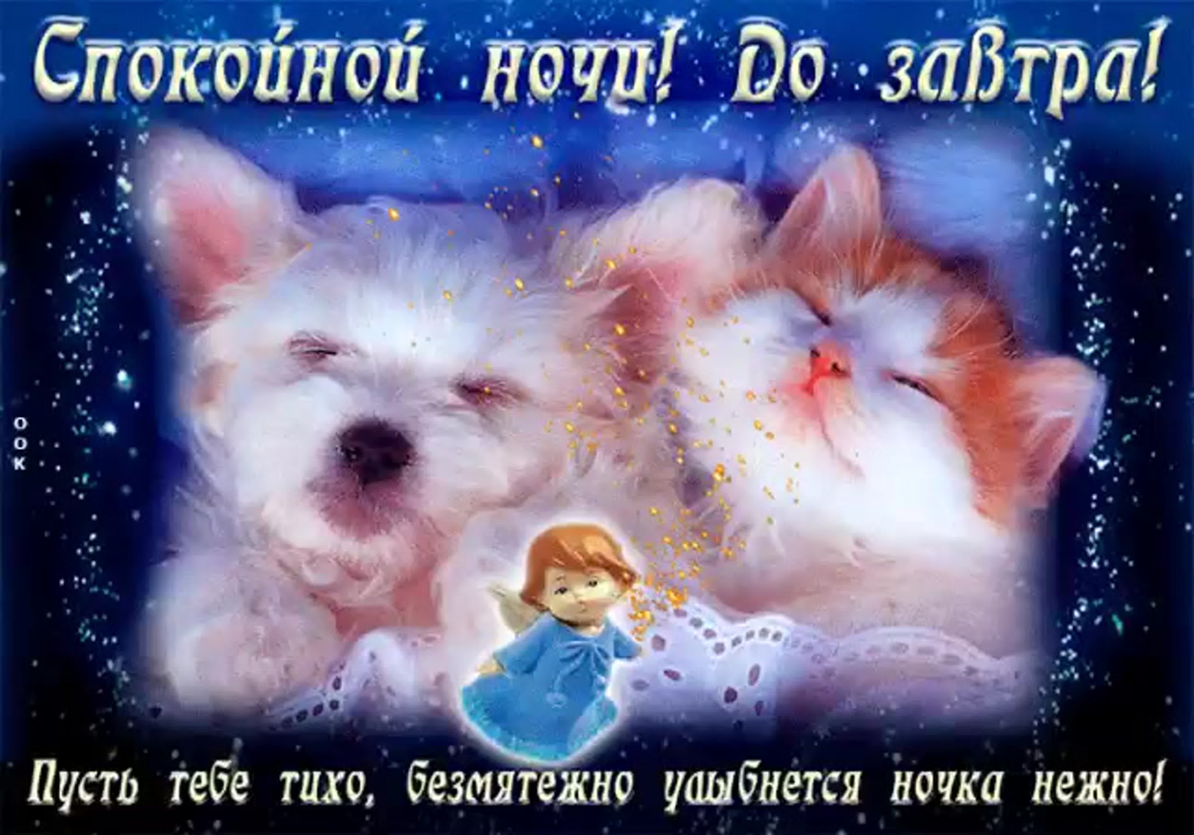 Открытка «Доброй ночи»: Спокойной ночи: спящие котенок и щенок под защитой ангела. Тэги: Спокойной ночи, Спокойной но…