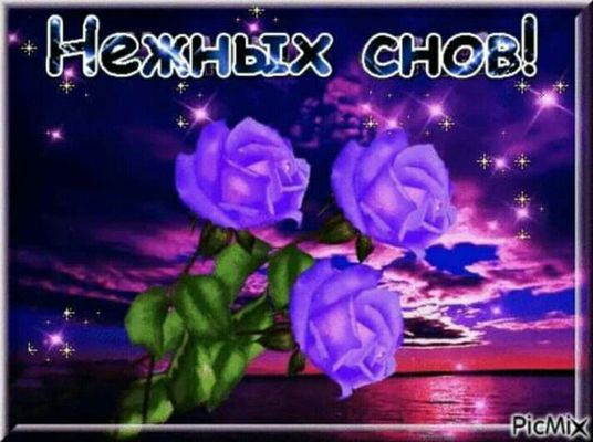 Открытка «Доброй ночи»: Спокойной ночи: «Нежных снов» с синими розами. Тэги: Спокойной ночи, Спокойной ночи, красивые…