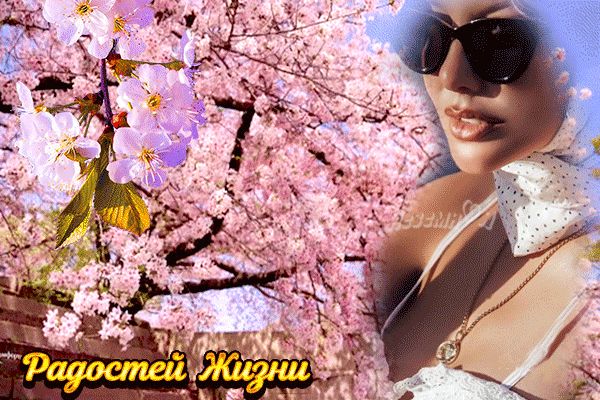 Открытка «Добрый день»: Добрый день: «Радостей жизни» и весеннее настроение. Тэги: Добрый день и добрые пожелания…