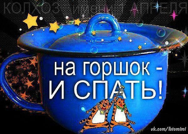 Открытка «Доброй ночи»: Доброй ночи: прикольная открытка «На горшок и спать». Тэги: Спокойной ночи, Спокойной ночи…