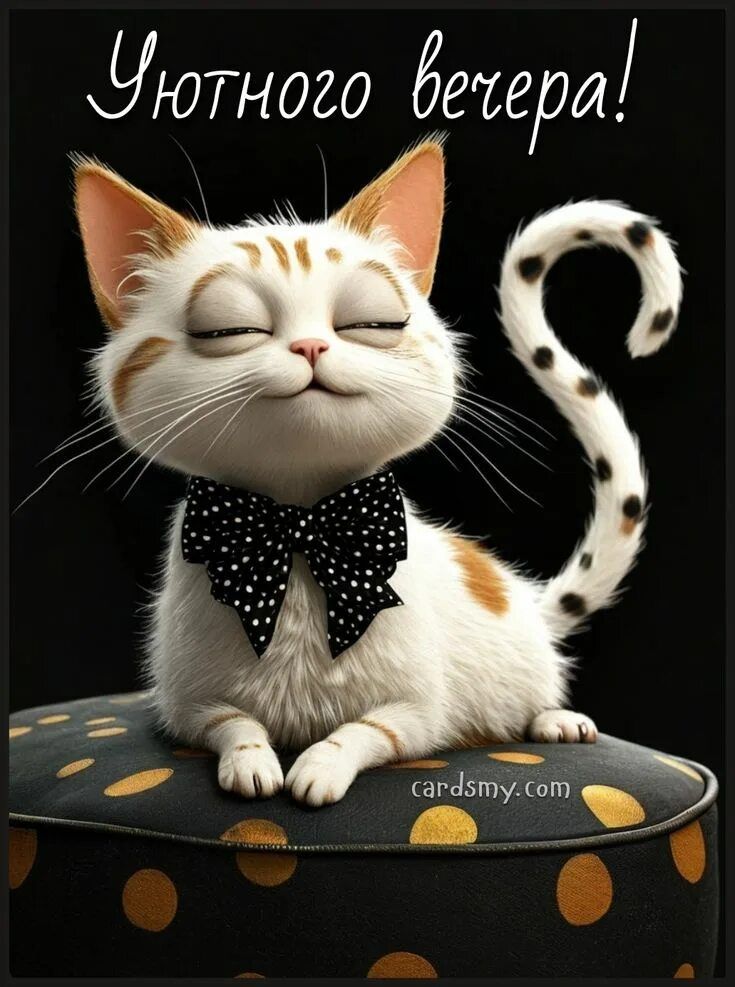 Открытка «Классный»: Добрый вечер: Уютное пожелание с милым котом. Тэги: Добрый вечер и пожелания, Добрый вечер краси…