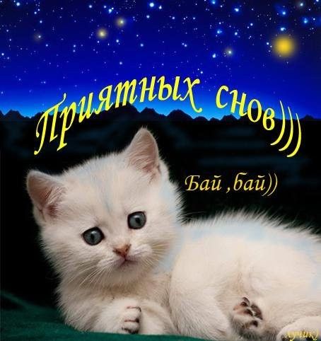 Открытка «Доброй ночи»: Спокойной ночи: милый котенок и пожелание приятных снов. Тэги: Спокойной ночи, Спокойной ночи…