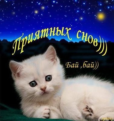 Открытка «Доброй ночи»: Спокойной ночи: милый котенок и пожелание приятных снов. Тэги: Спокойной ночи, Спокойной ночи…