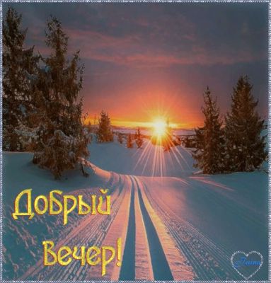 Открытка «Добрый вечер и пожелания»: Добрый вечер: зимний закат в лесу. Тэги: Добрый зимний вечер, Добрый вечер краси…