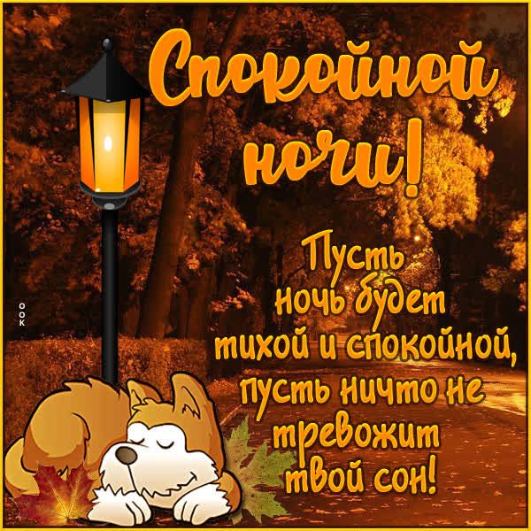 Открытка «Доброй ночи»: Спокойной ночи: красивая открытка с осенним настроением.