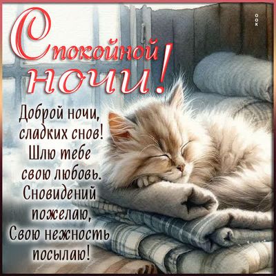 Открытка «Доброй ночи»: Спокойной ночи! Милая открытка с пушистым котом. Тэги: Спокойной ночи, Спокойной ночи, с поже…