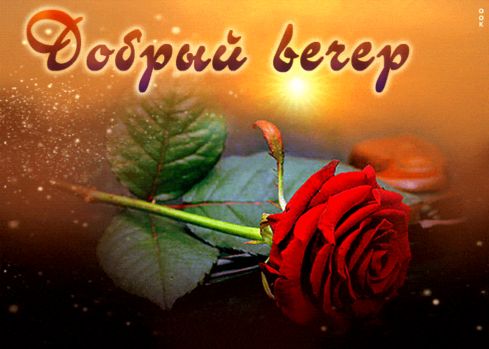 Открытка «Добрый вечер и пожелания»: Добрый вечер: красная роза и пожелание настроения. Тэги: Доброго вечера и хороше…